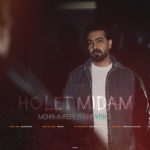 محمدرضا شوندی – هولت میدم